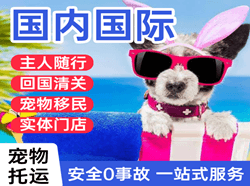 阿拉善空运国际宠物托运 【国
